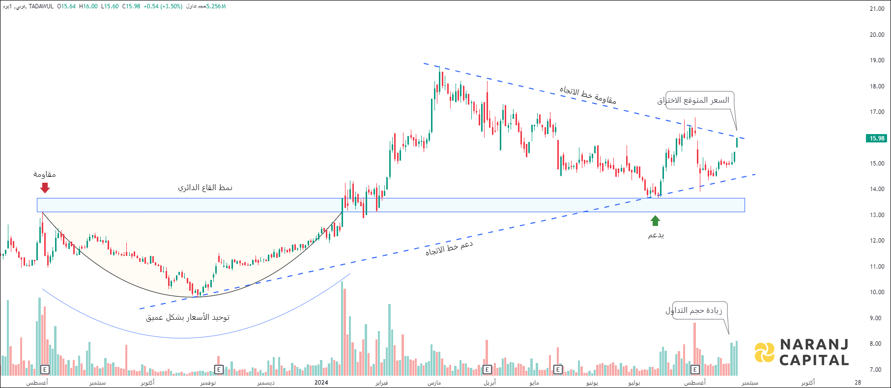 Perfect Presentation for Commercial Services - Technical Analysis chart on Daily Price and Volume
