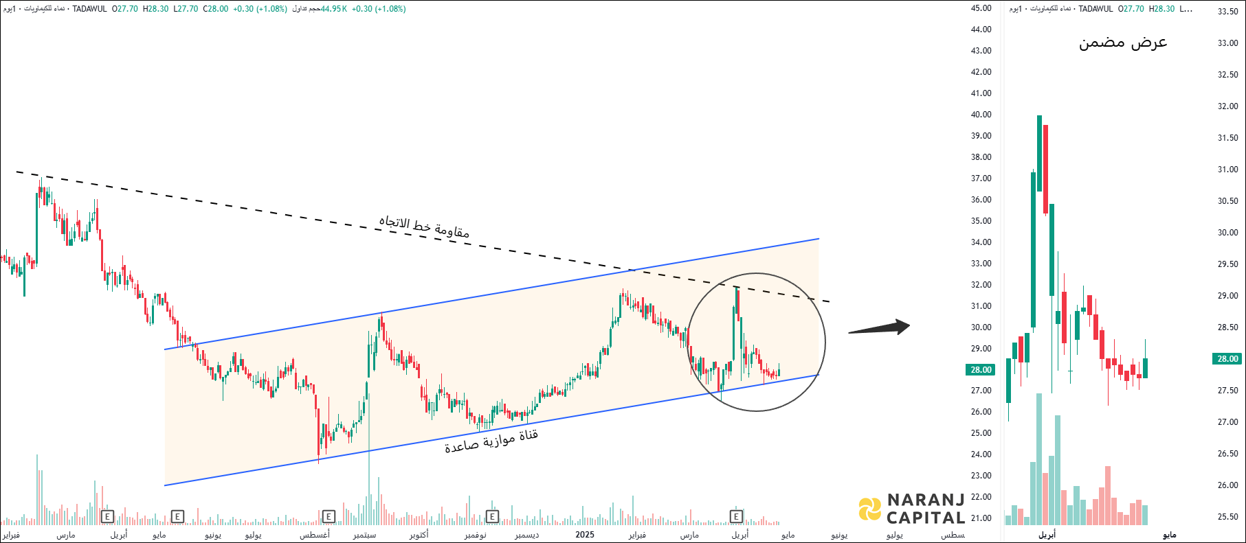 Nama Chemicals - Technical Analysis chart on Daily Price and Volume