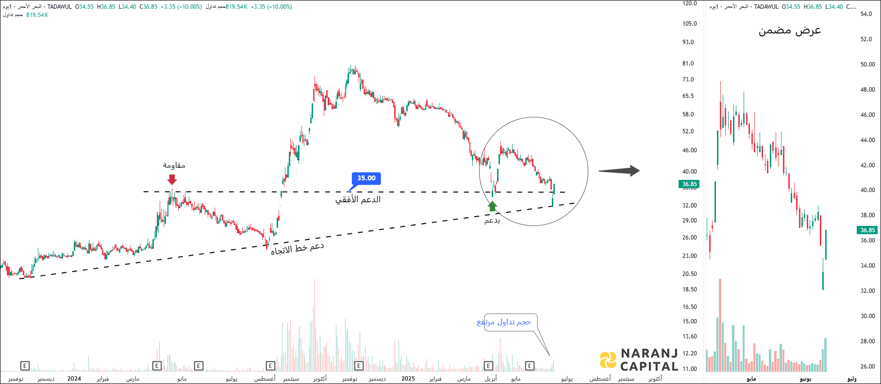 Red Sea International - Technical Analysis chart on Daily Price and Volume