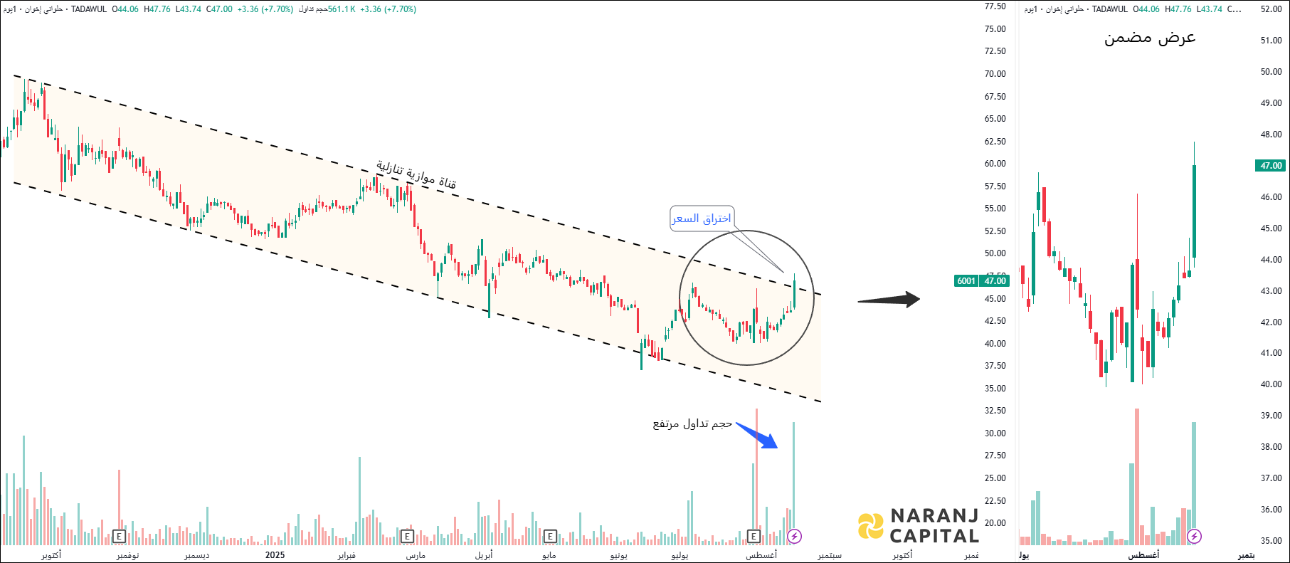Halwani Brothers - Technical Analysis chart on Daily Price and Volume
