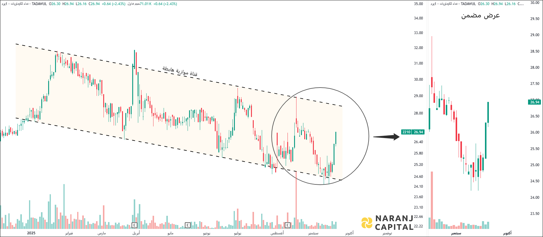 Nama Chemicals - Technical Analysis chart on Daily Price and Volume