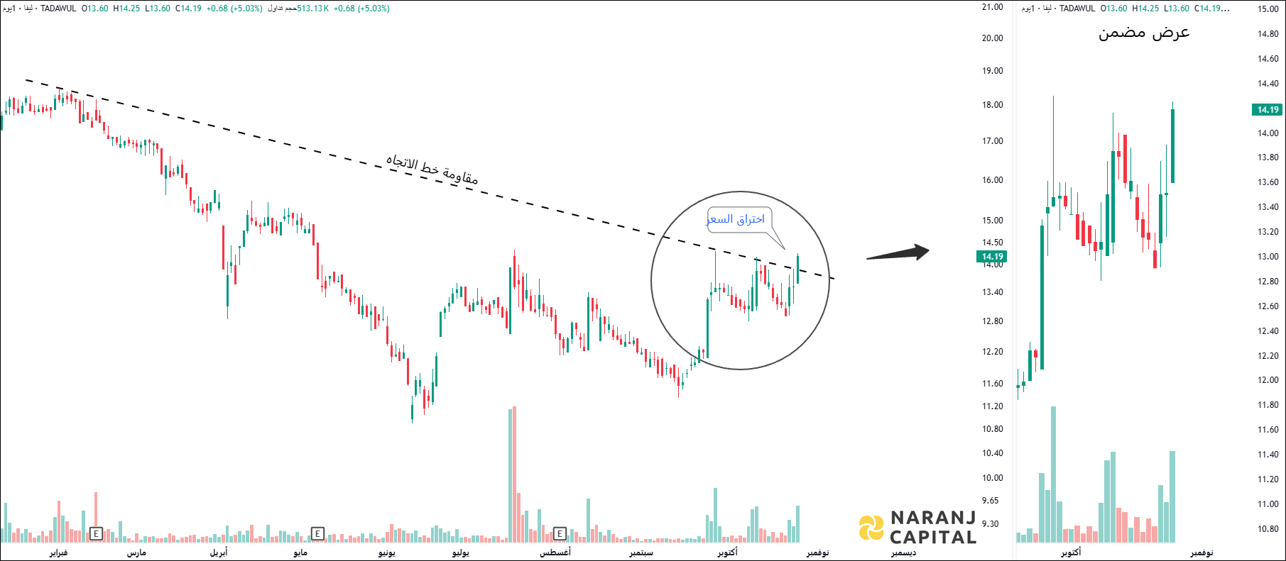 LIVA Insurance - Technical Analysis chart on Daily Price and Volume