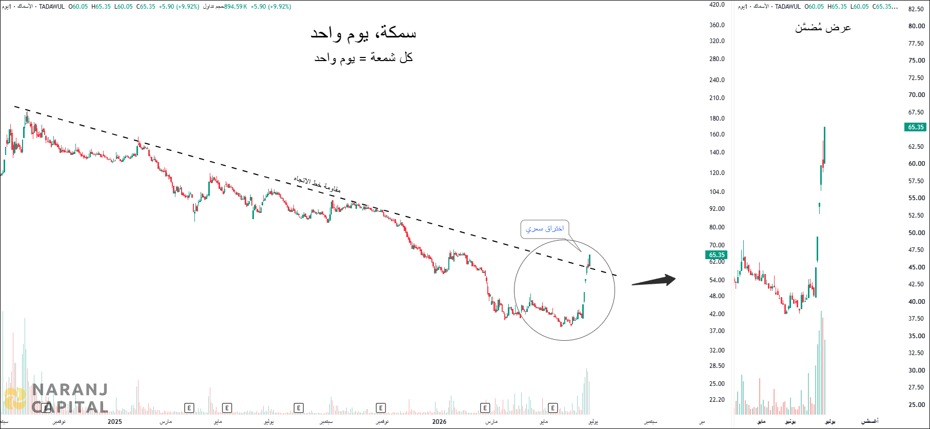 Saudi Fisheries - Technical Analysis chart on Daily Price and Volume