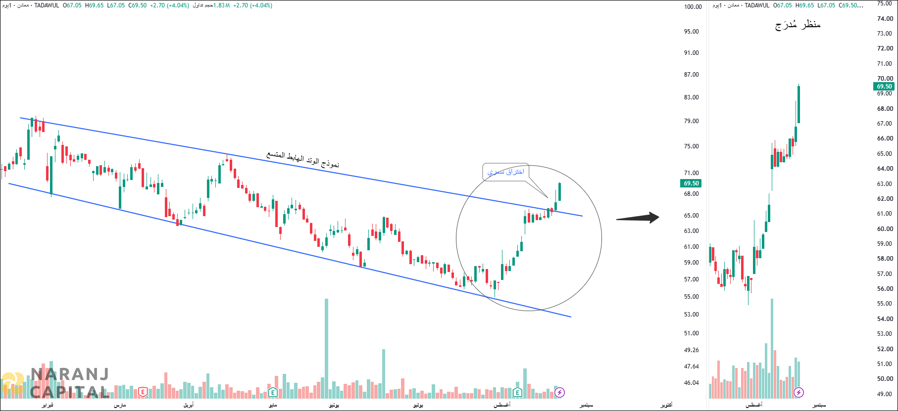 Saudi Arabian Mining - Technical Analysis chart on Daily Price and Volume