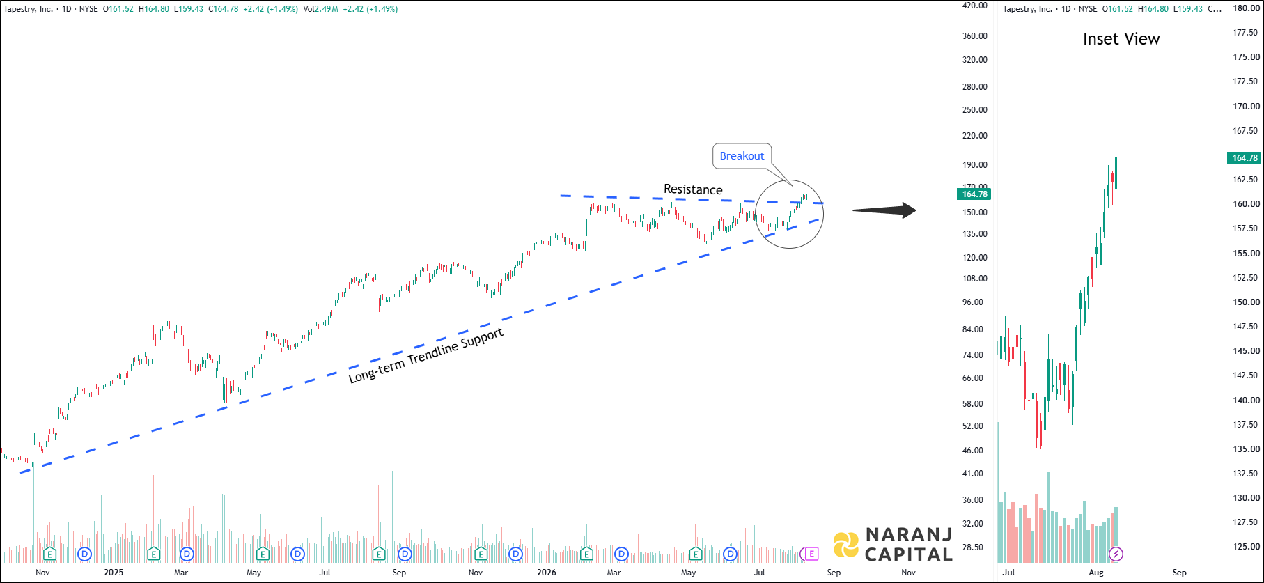 Tapestry - Daily Technical Analysis