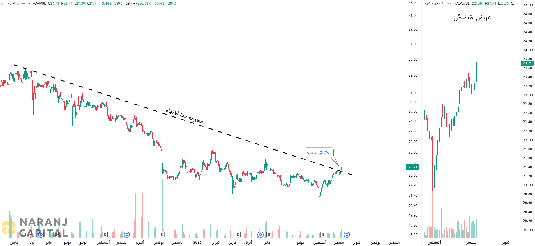 Riyadh Cement - Technical Analysis chart on Daily Price and Volume