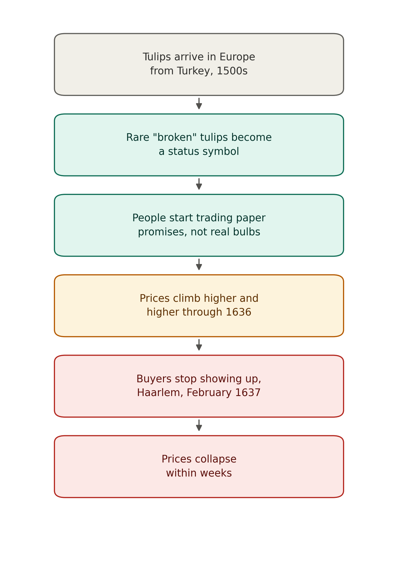 Six-step vertical flowchart tracing the tulip mania from origin to collapse. Step 1 (gray): tulips arrive in Europe from Turkey in the 1500s. Step 2 (teal): rare broken tulips become a status symbol. Step 3 (teal): people start trading paper promises not real bulbs. Step 4 (amber): prices climb higher and higher through 1636. Step 5 (red): buyers stop showing up in Haarlem in February 1637. Step 6 (red): prices collapse within weeks.